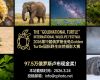97.5万俄罗斯卢布现金奖!2026第19届俄罗斯金龟Golden Turtle国际野生自然摄影大赛 ...
