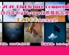 12300美元现金奖!2026年BigPicture自然摄影大赛