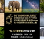 97.5万俄罗斯卢布现金奖！2026第19届俄罗斯金龟Golden Turtle国际野生自然摄影大赛 ...