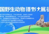 第二屆中國野生動物攝影大展