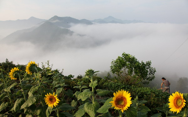 11080208132099[1].jpg
