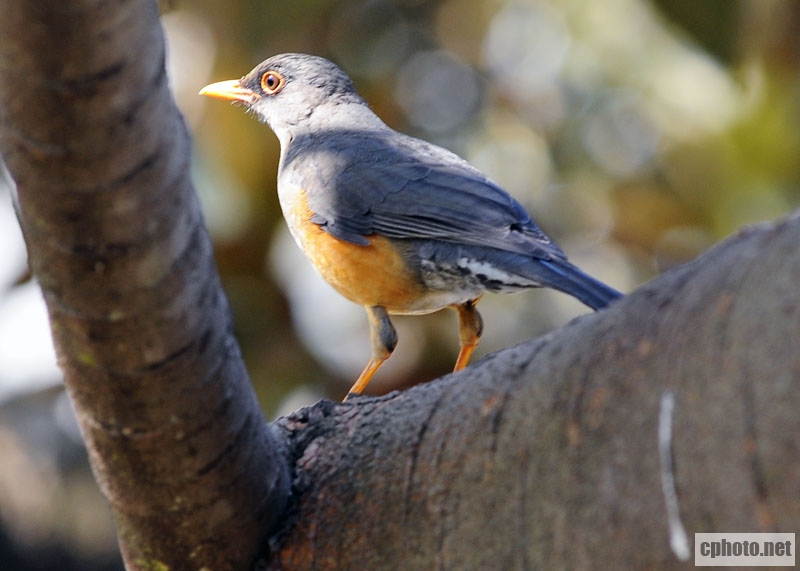 DSC_1659.jpg