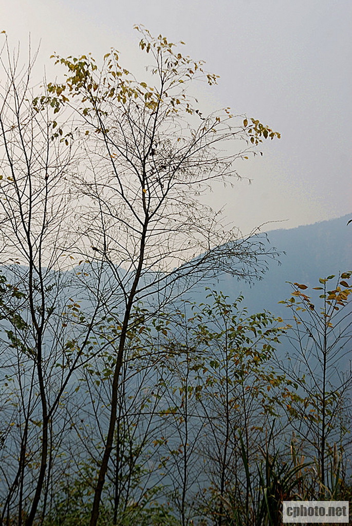 DSC_0653_.jpg