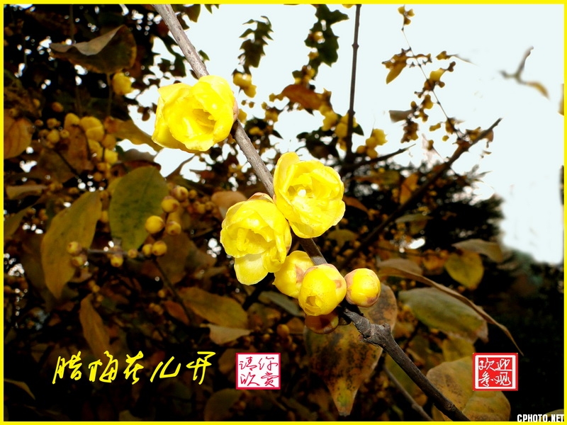 DSC08049_调整大小.jpg