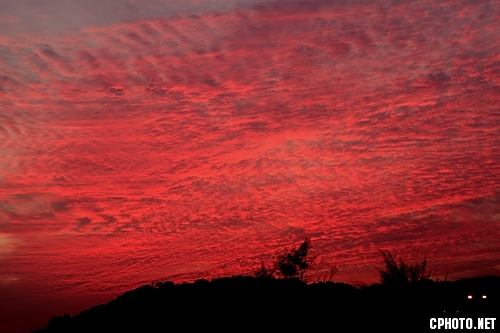 2012_01_08_4707.JPG