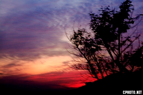 2012_01_08_4729.JPG