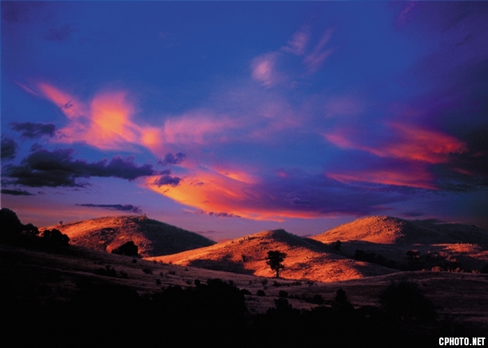 澳大利亚-堪培拉堪培拉郊外的山丘在夕阳的光线下充满了生机，经历的丛林，金黄色的山丘.jpg