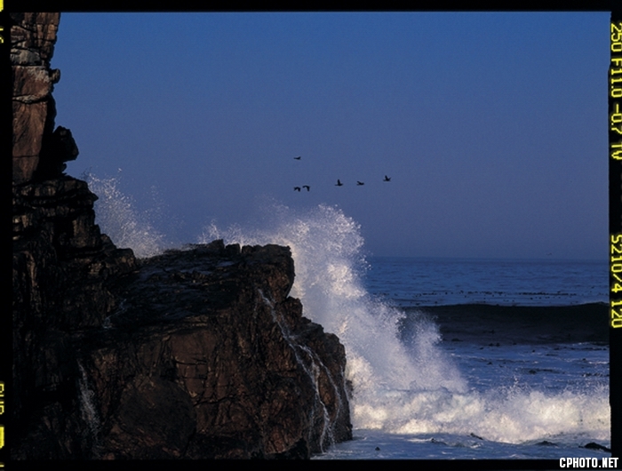 南非-开普敦-好望角“美好希望的海角”，这也是暴风角。希望与风暴，辩证的两极正是一.jpg