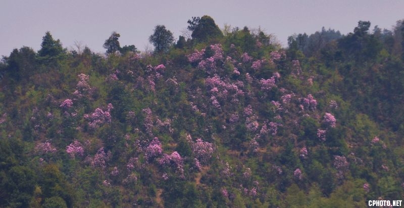 DSC_0002.JPG