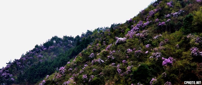 DSC_0158.jpg