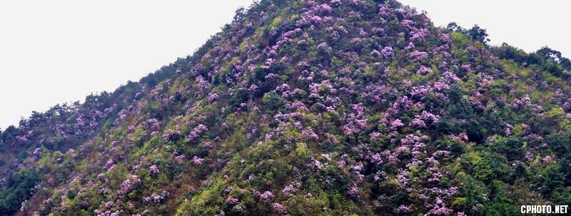 DSC_0187.jpg