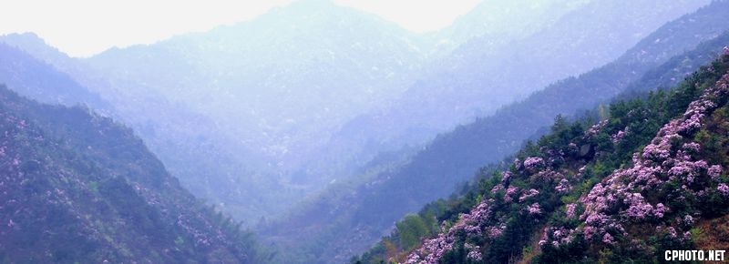 DSC_0189.jpg