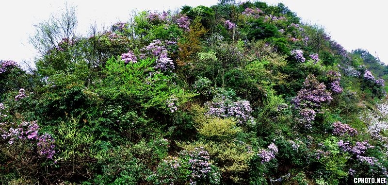 DSC_0265.jpg
