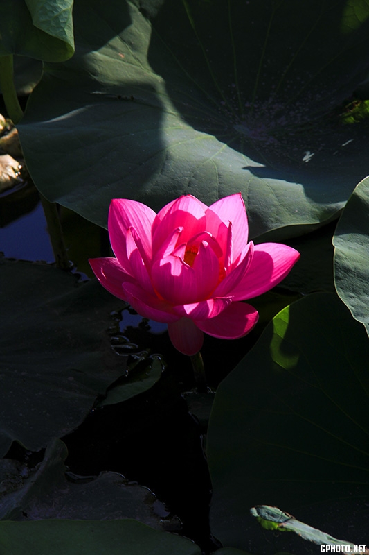 IMG_18961.jpg