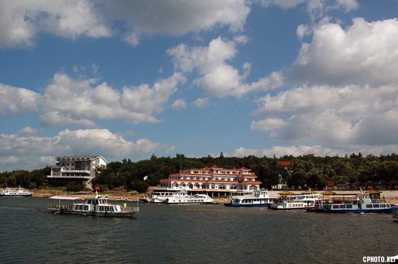 DSC_8332.jpg