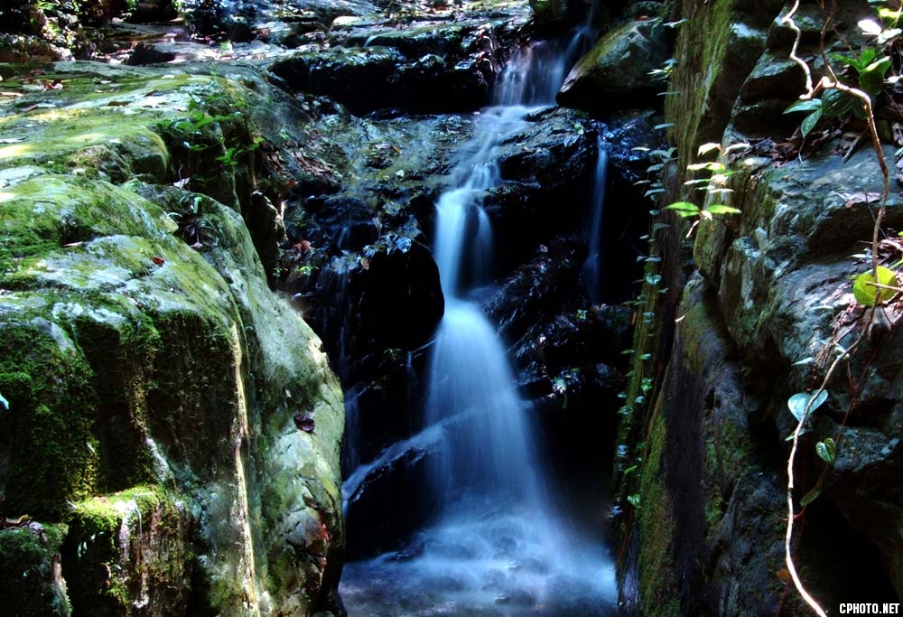 DSC_0016.jpg