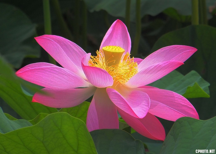 DSCF1541.JPG