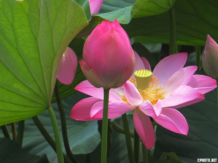 DSCF1549.JPG