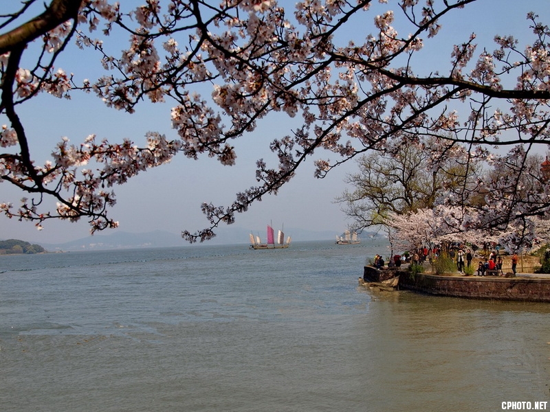 P1011958.JPG
