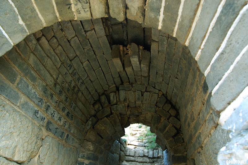 832635.jpg