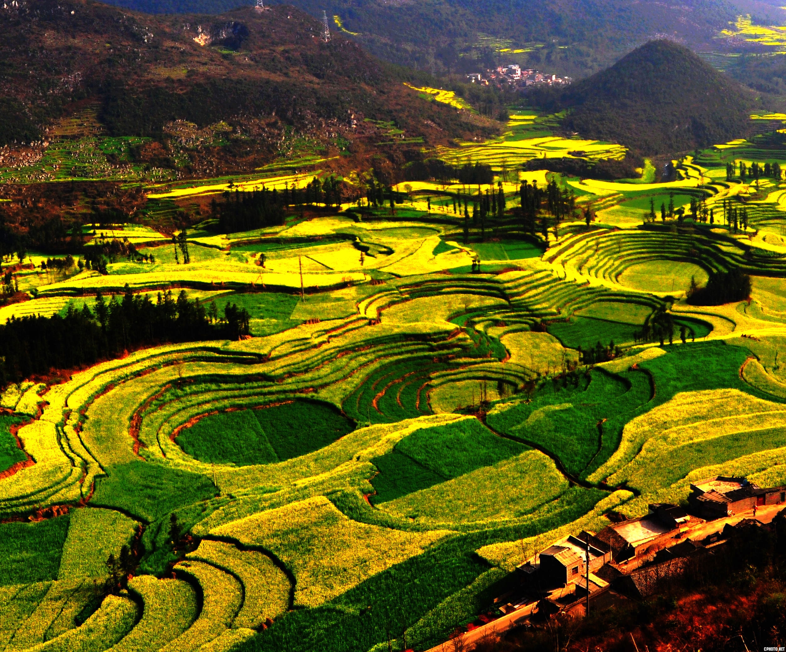 DSC_0441_Ӱ_1.jpg