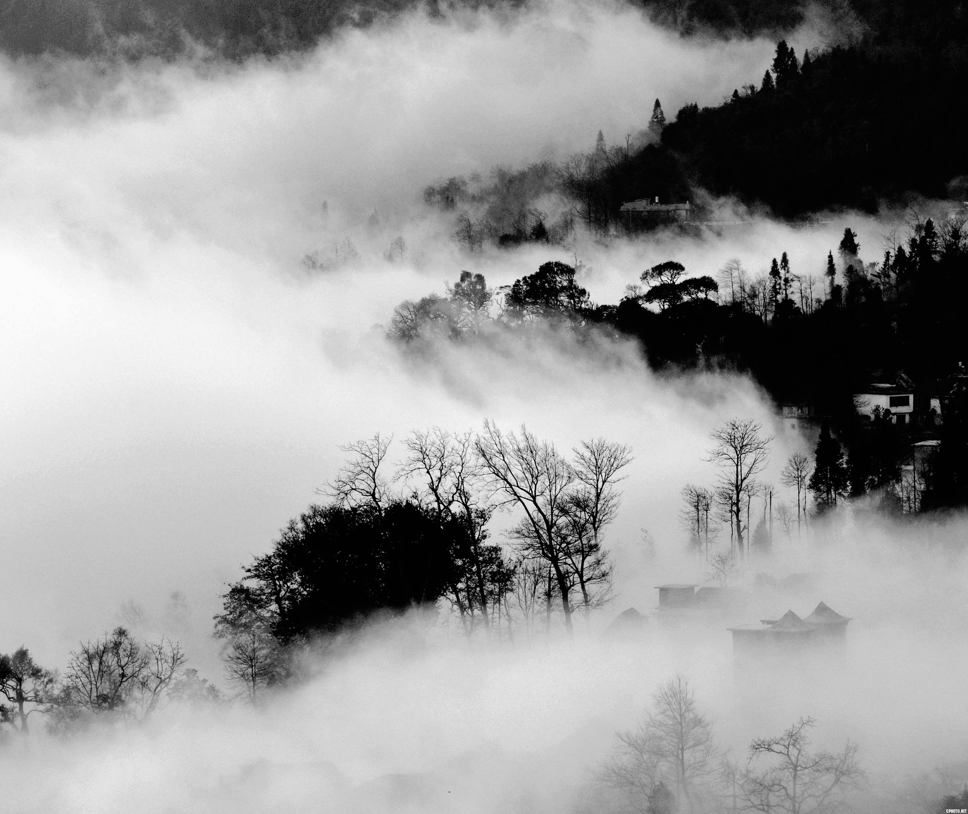 DSC_0718_Ӱ_7.jpg