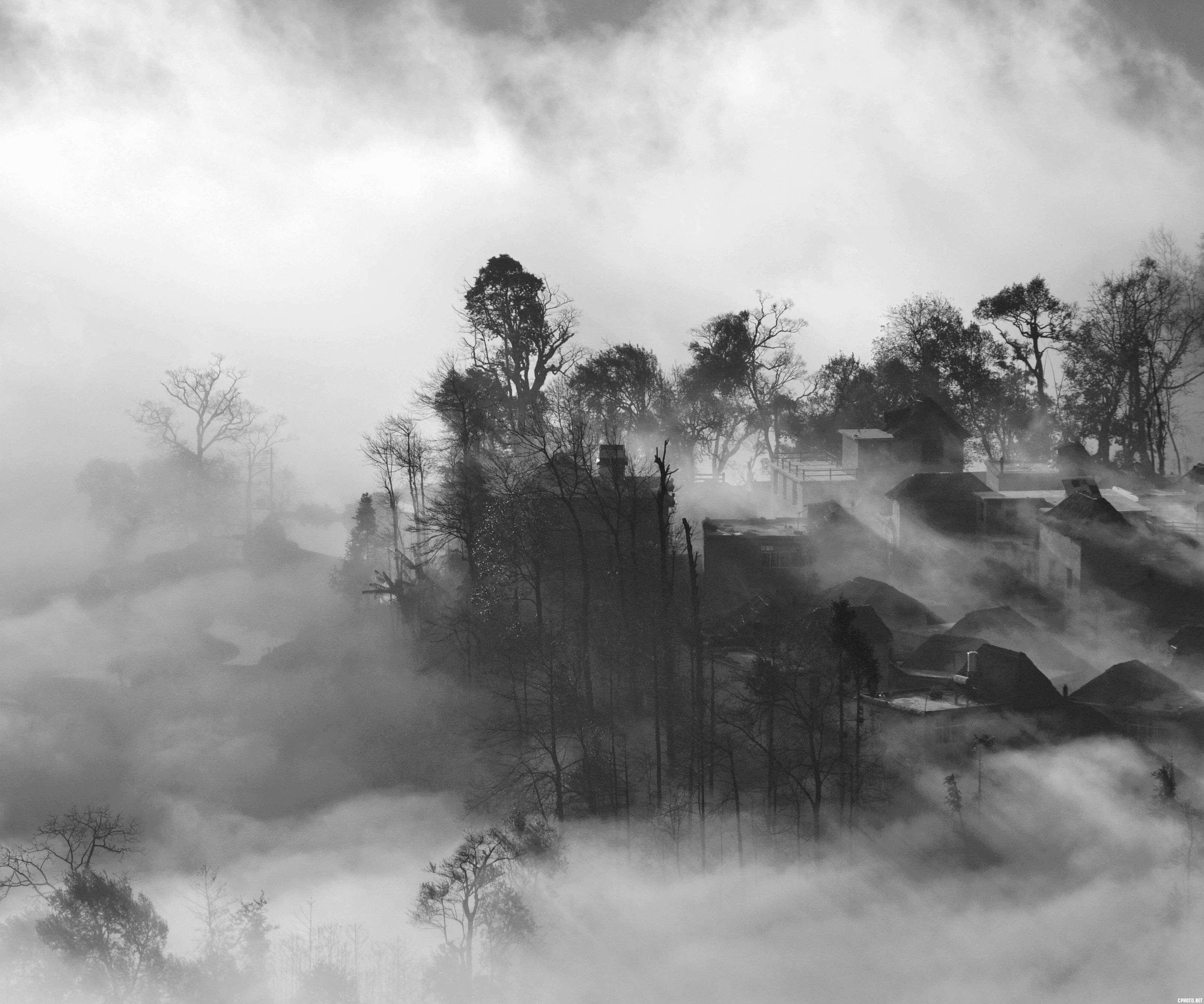 DSC_0783_Ӱ_6.jpg