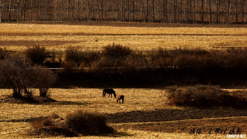 2012 红石滩 新都桥  dsc06557.jpg