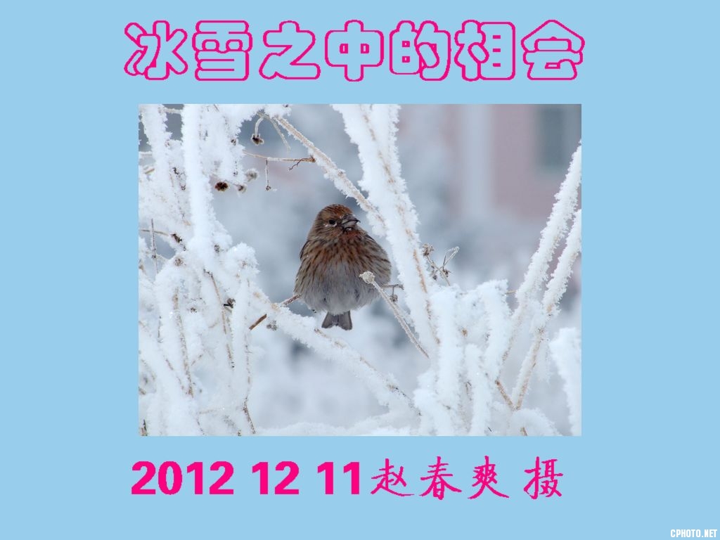 冰雪之中的相会1.jpg