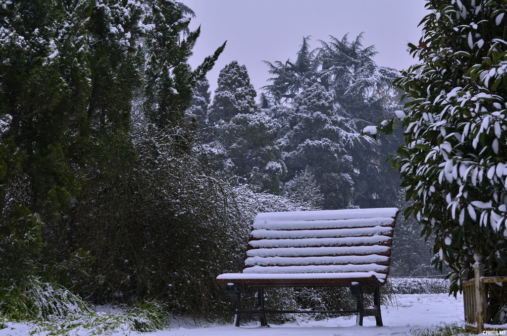 1 请坐 久违的雪.JPG