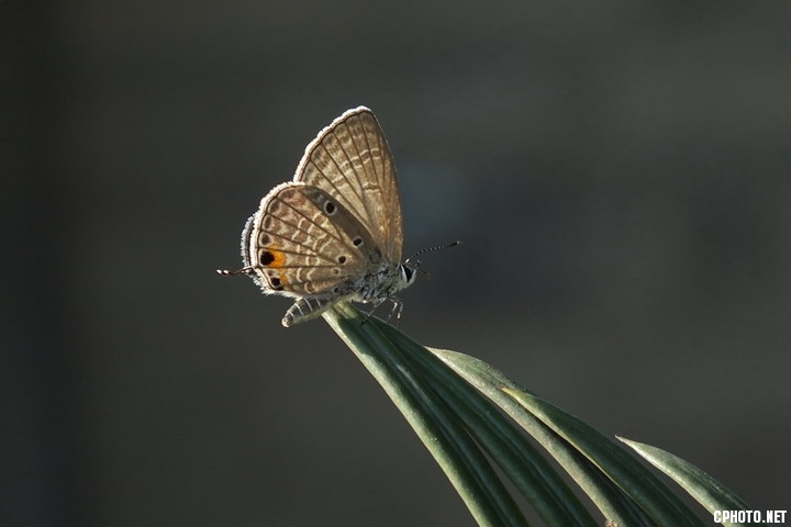 DSCF0583.jpg