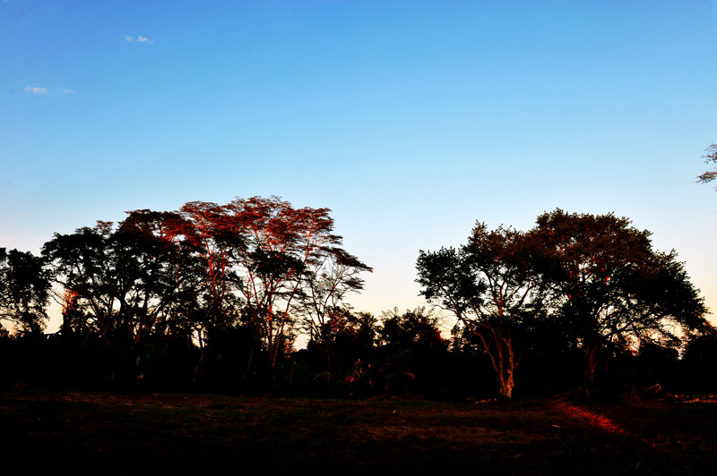 DSC_7930.jpg