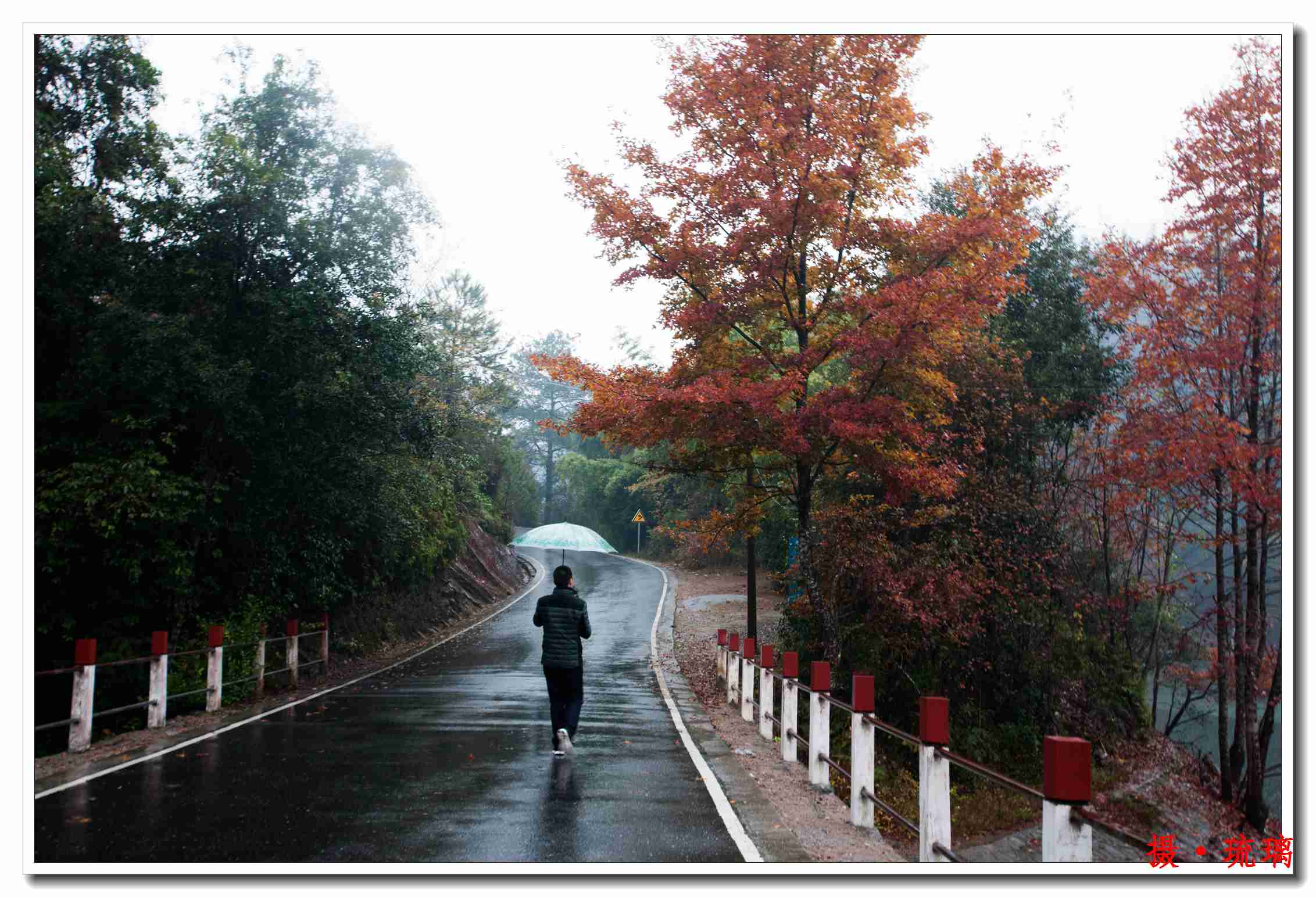 雨天阳岭枫叶 097.jpg