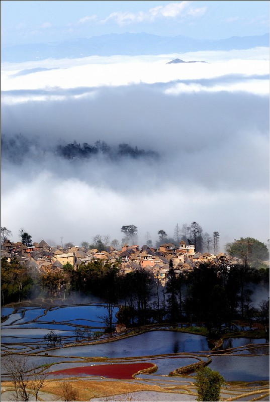 箐口景色