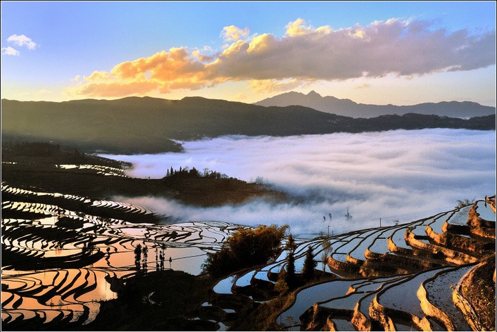 麻栗寨茶场日落