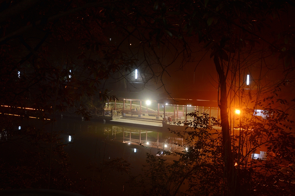 人工湖夜景