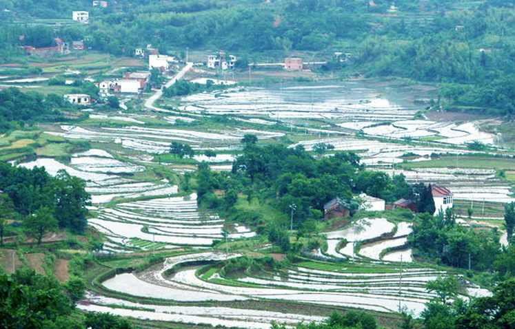 豫南固始梯田风景.jpg