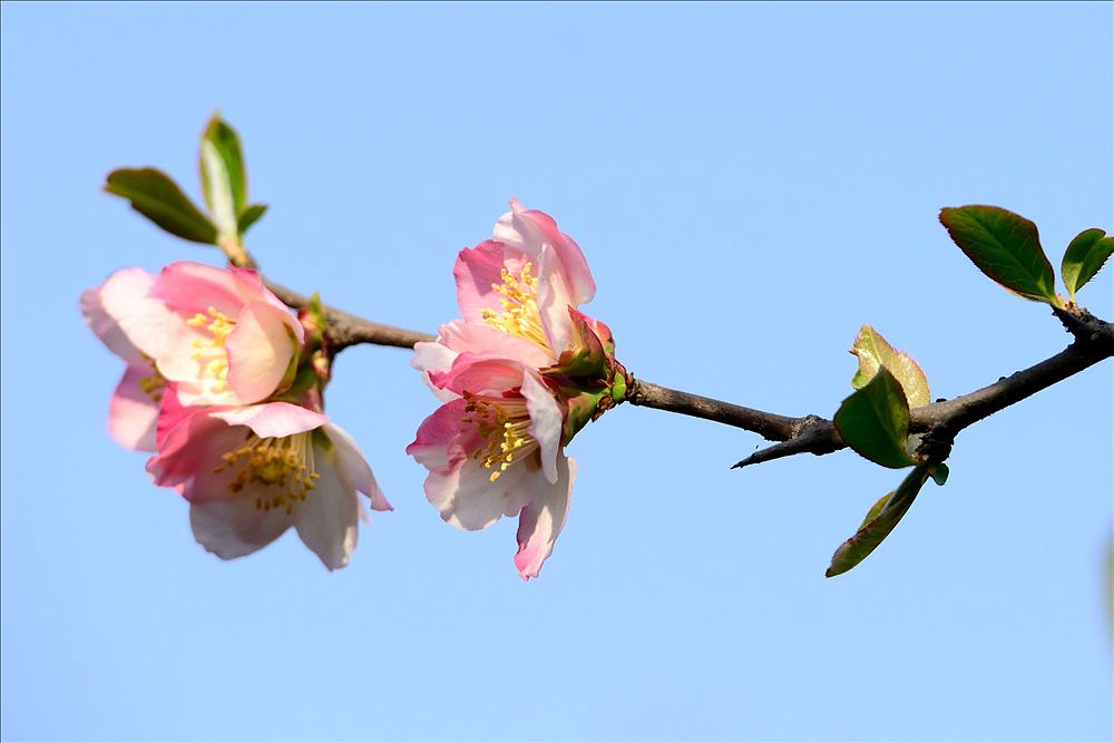 2014.03.26宝鸡植物园11.jpg