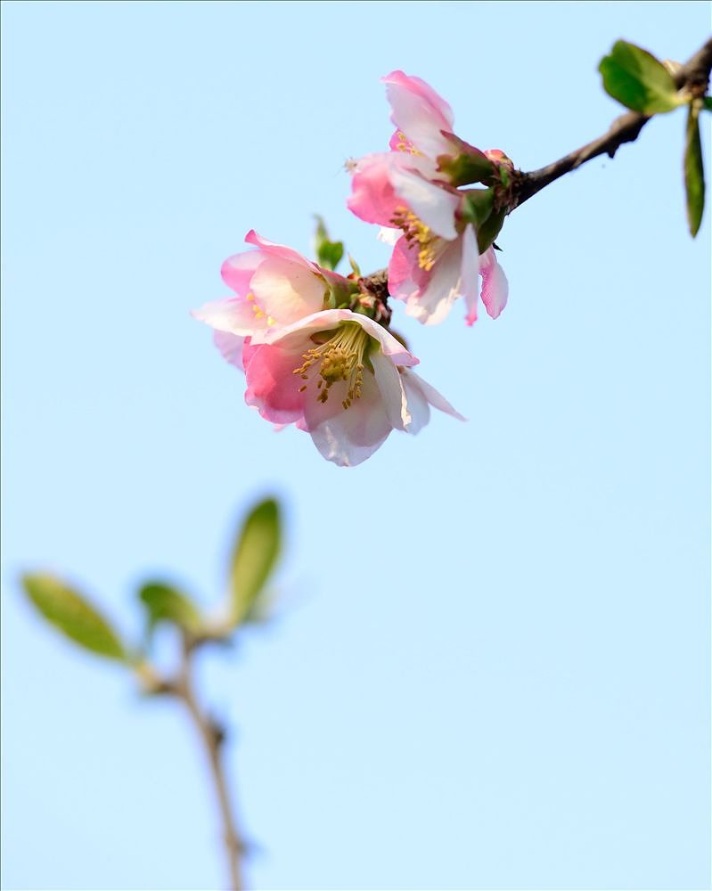 2014.03.26宝鸡植物园12.jpg