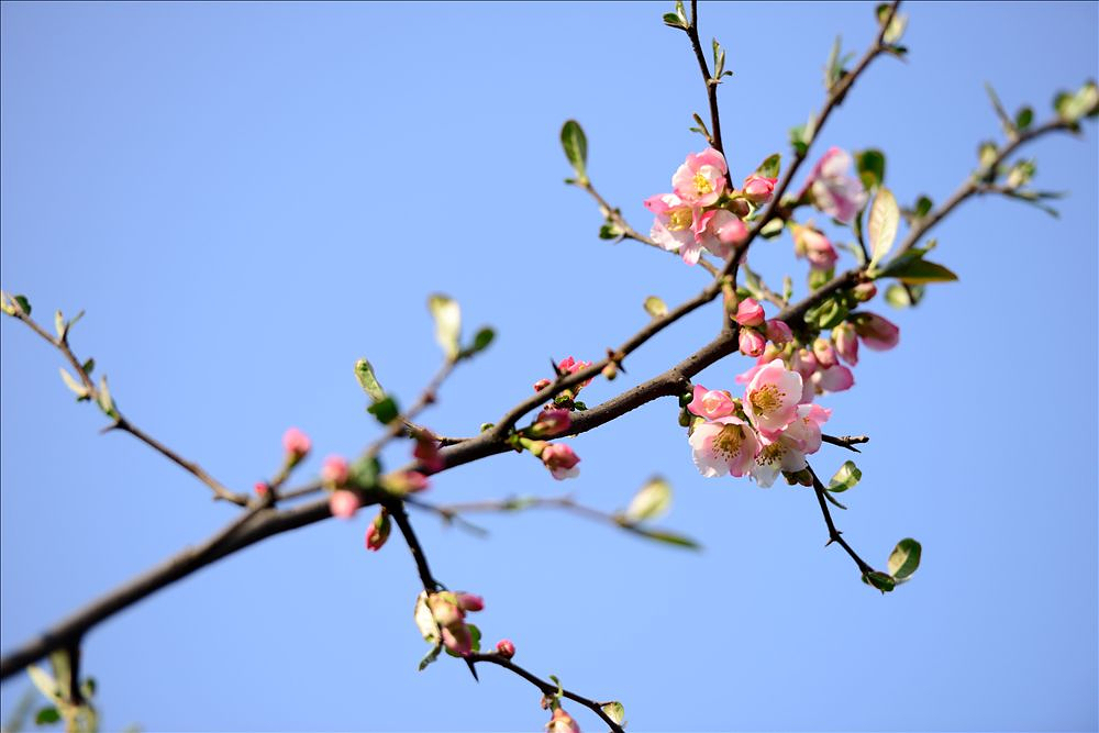 2014.03.26宝鸡植物园20.jpg