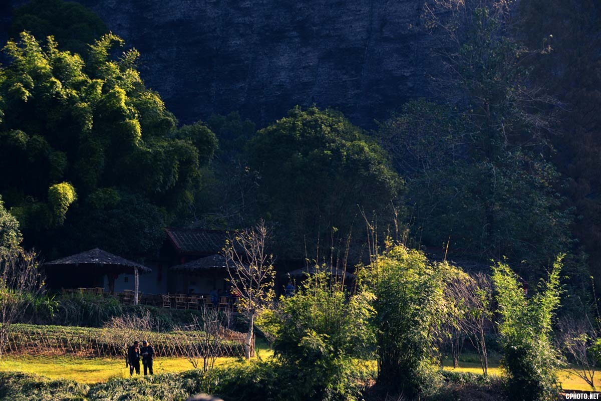 武夷山{文件名}-3.jpg