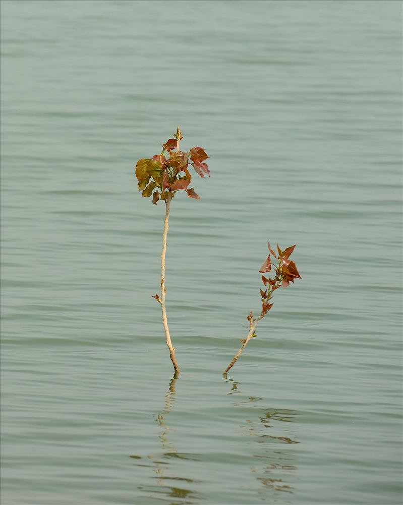 2014.04.09千阳湿地15.jpg