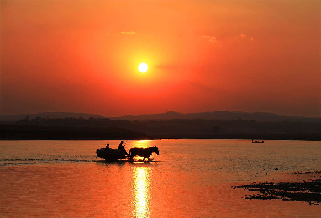 夕阳鞭声.jpg