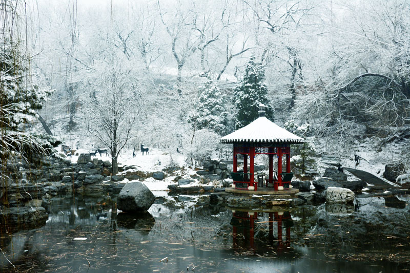 京西佛山“八大處”飛端雪紛紛揚場過大年。。。