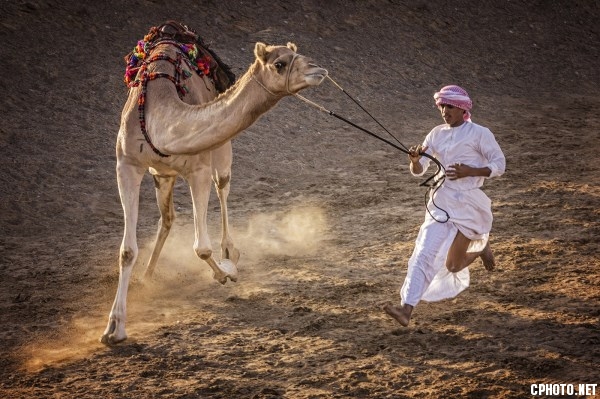 FIAP GOLD MEDAL-TRY CONSISTENCY-Saif AL KAABI-Oman.jpg