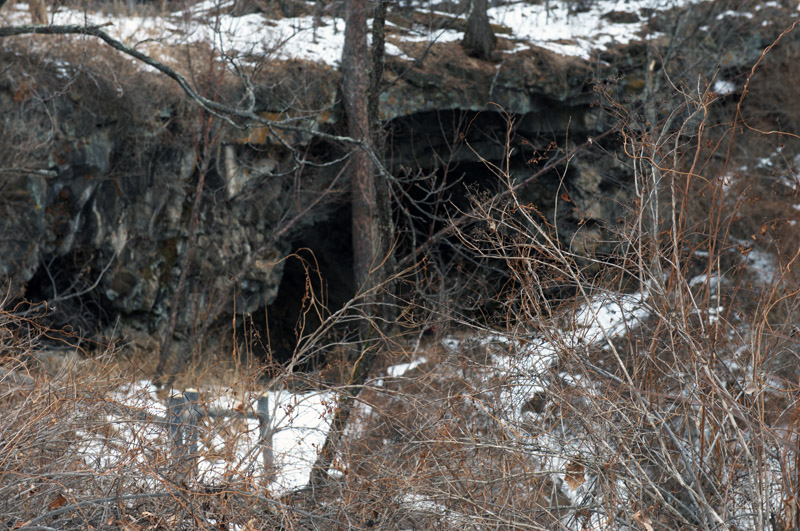 DSC_5394.jpg