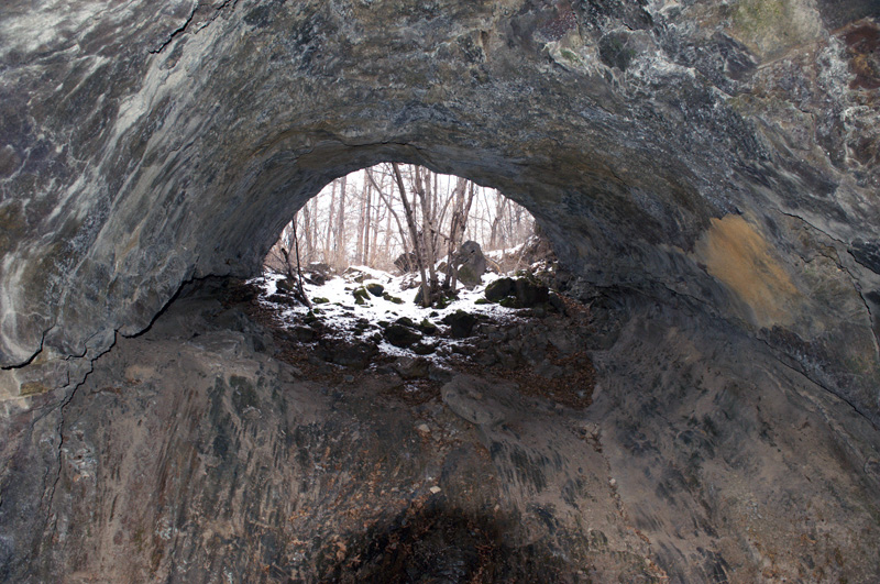 DSC_5397.jpg
