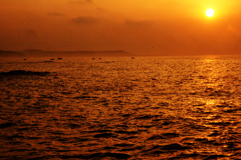 DSC_5902.jpg