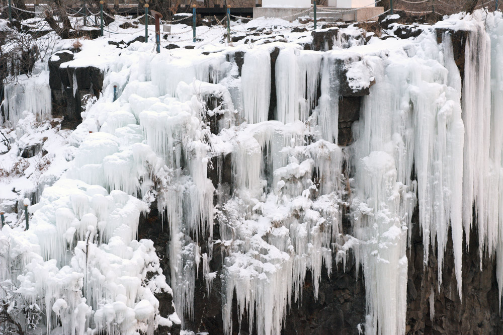 DSC_0928.jpg