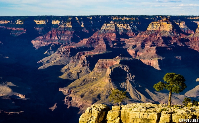 Lonely tree in Grand Canyon_调整大小.jpg